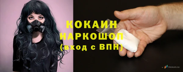 гашик Аркадак