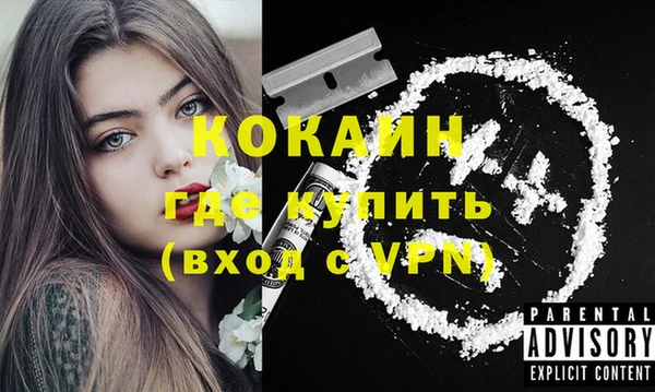 гашик Аркадак