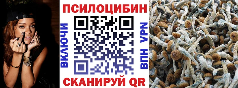где купить наркоту  Спасск-Рязанский  Галлюциногенные грибы GOLDEN TEACHER 